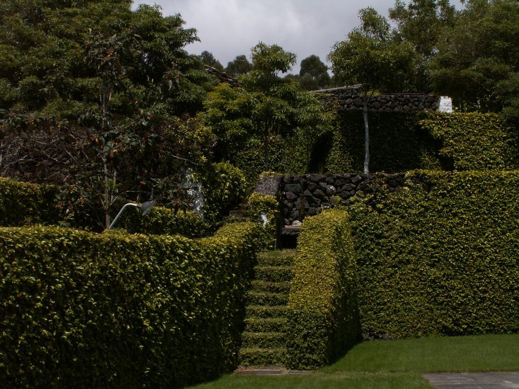 Quinta Do Martelo Affittacamere 3*