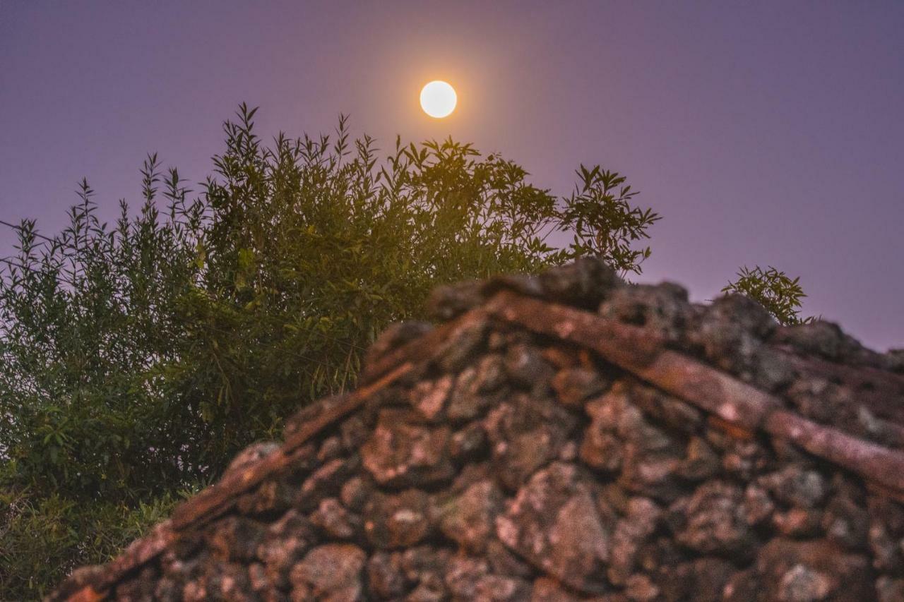 Affittacamere Quinta Do Martelo 3*